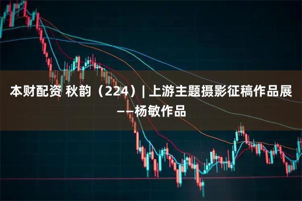 本财配资 秋韵（224）| 上游主题摄影征稿作品展——杨敏作品