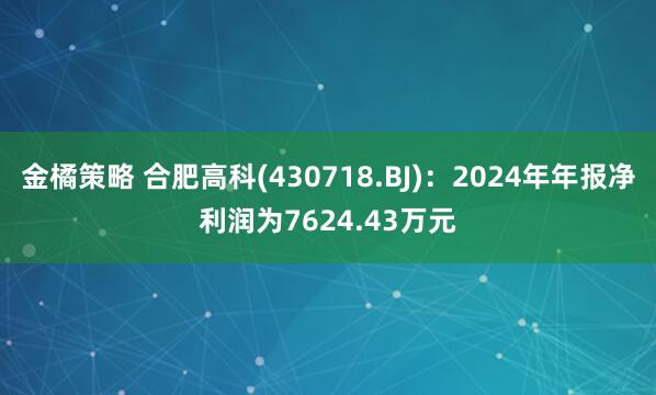 金橘策略 合肥高科(430718.BJ)：2024年年报净利润为7624.43万元
