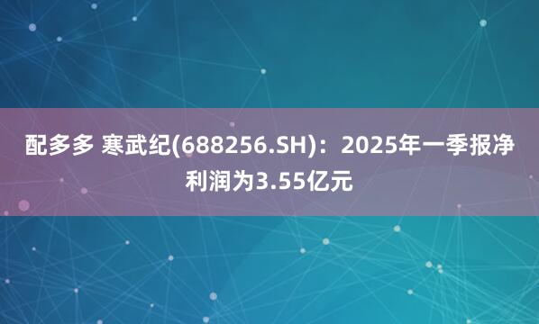 配多多 寒武纪(688256.SH)：2025年一季报净利润为3.55亿元