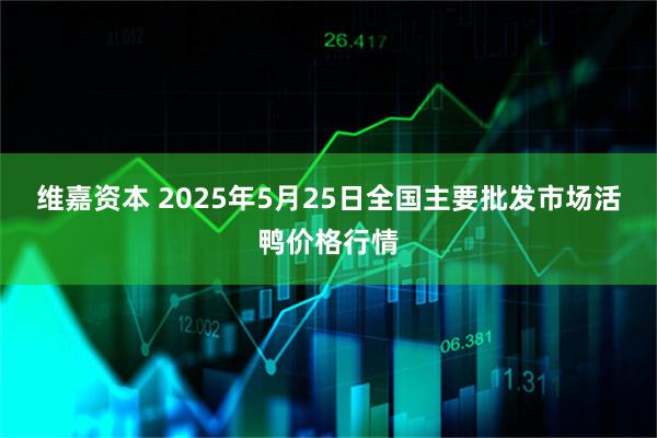 维嘉资本 2025年5月25日全国主要批发市场活鸭价格行情
