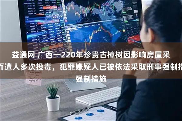 益通网 广西一220年珍贵古樟树因影响房屋采光而遭人多次投毒，犯罪嫌疑人已被依法采取刑事强制措施