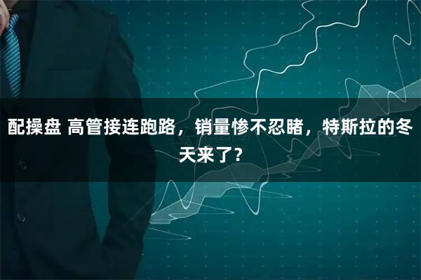 配操盘 高管接连跑路，销量惨不忍睹，特斯拉的冬天来了？