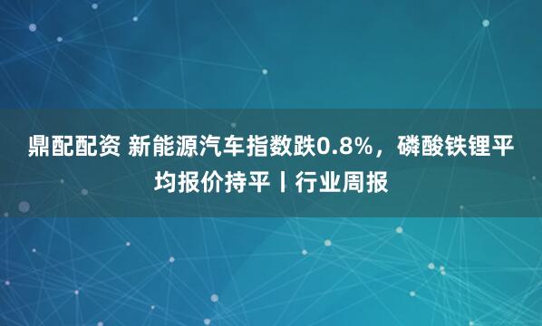 鼎配配资 新能源汽车指数跌0.8%，磷酸铁锂平均报价持平丨行业周报