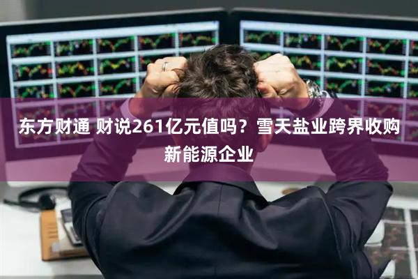 东方财通 财说261亿元值吗？雪天盐业跨界收购新能源企业